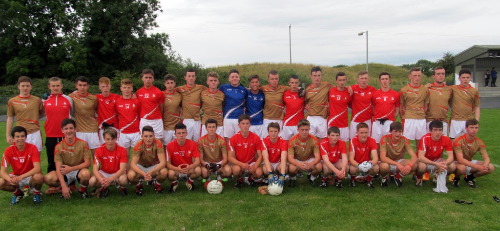 Louth panel v Meath Plate 2015